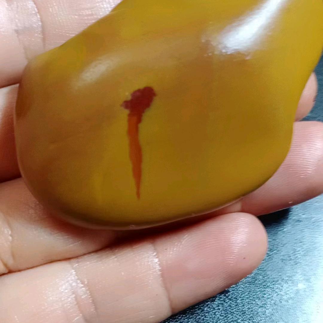 赣江黄腊美石兰