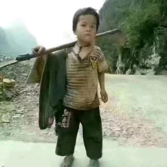 神秘人宝哥