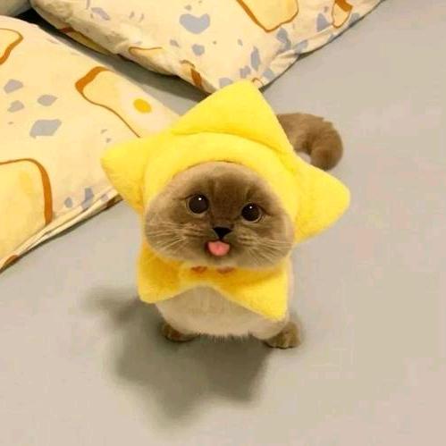 涂抹的