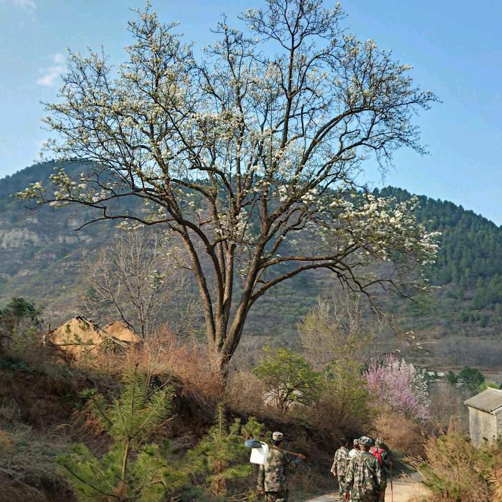 永远的下峪口村