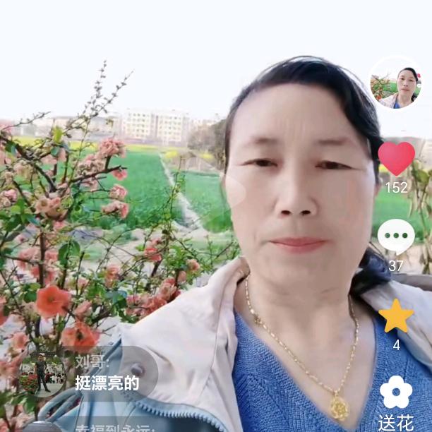 湖北随卅默默无语