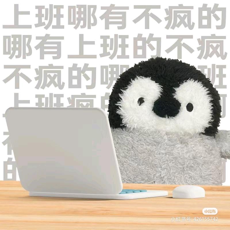 叫我豆豆