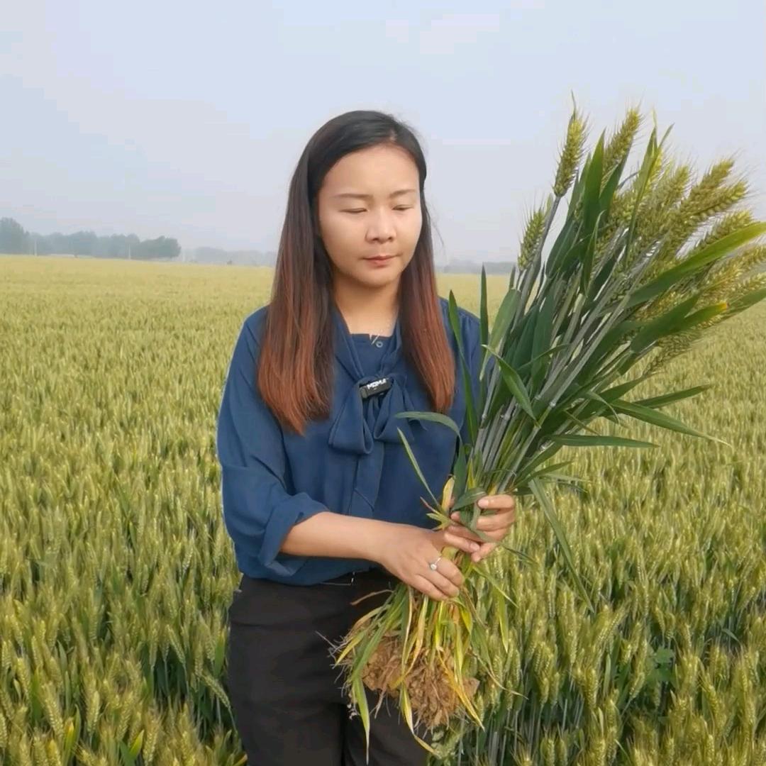 万稼农资