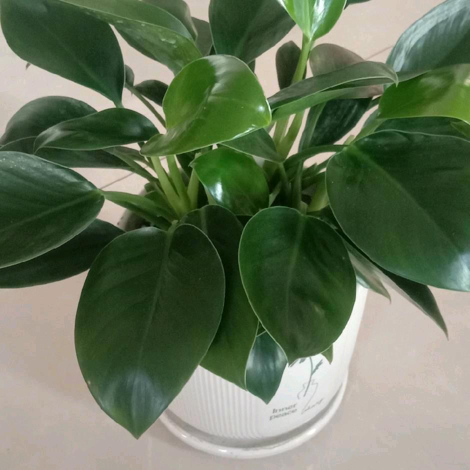 珍惜才能拥有