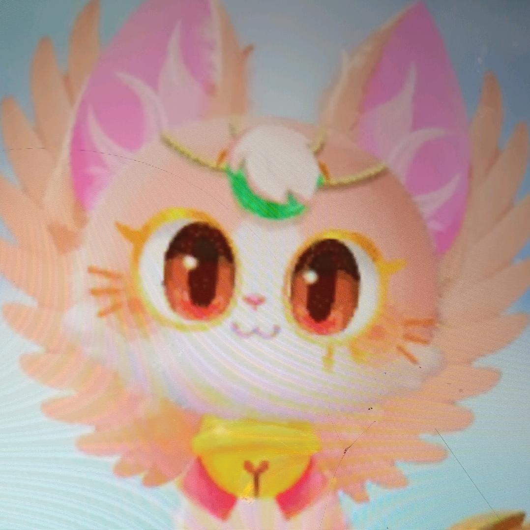 苍梦喵（反反小爱）