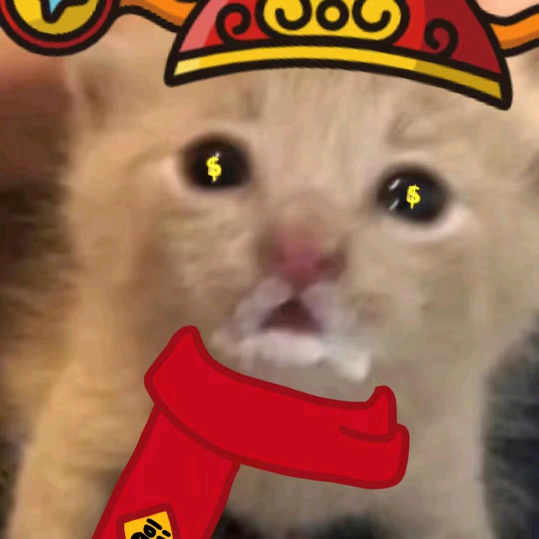 胡萝卜🥕胡萝卜