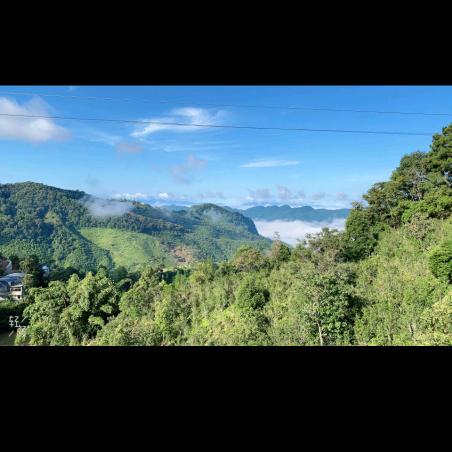 云南勐海源头茶厂（云南茶农茶叶）