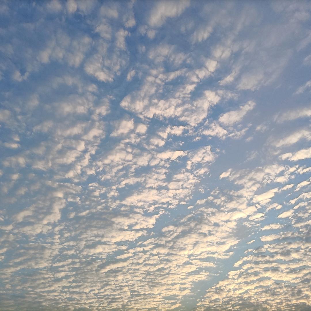 余生我想牵你手