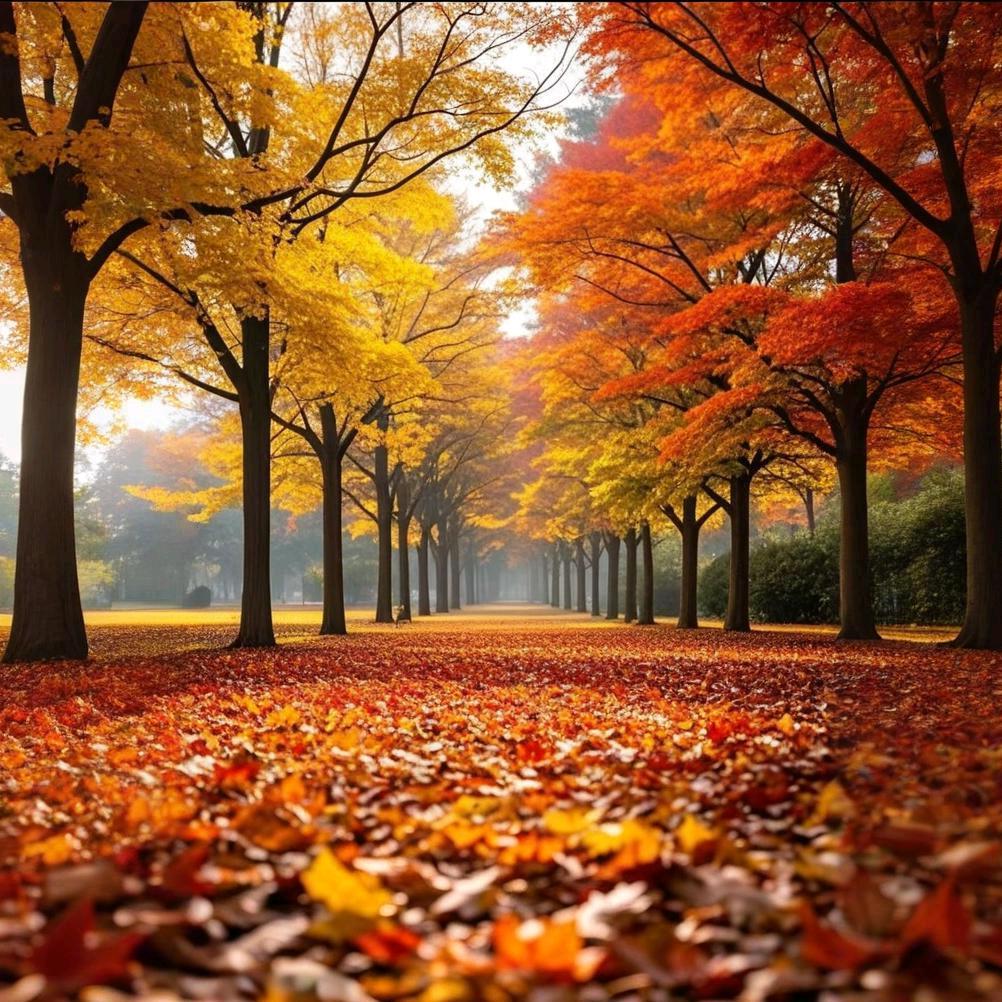 爱喝酒❤爱老板