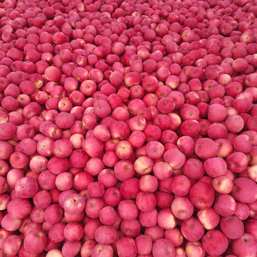 💞茜💓茜💞～乾屹果业