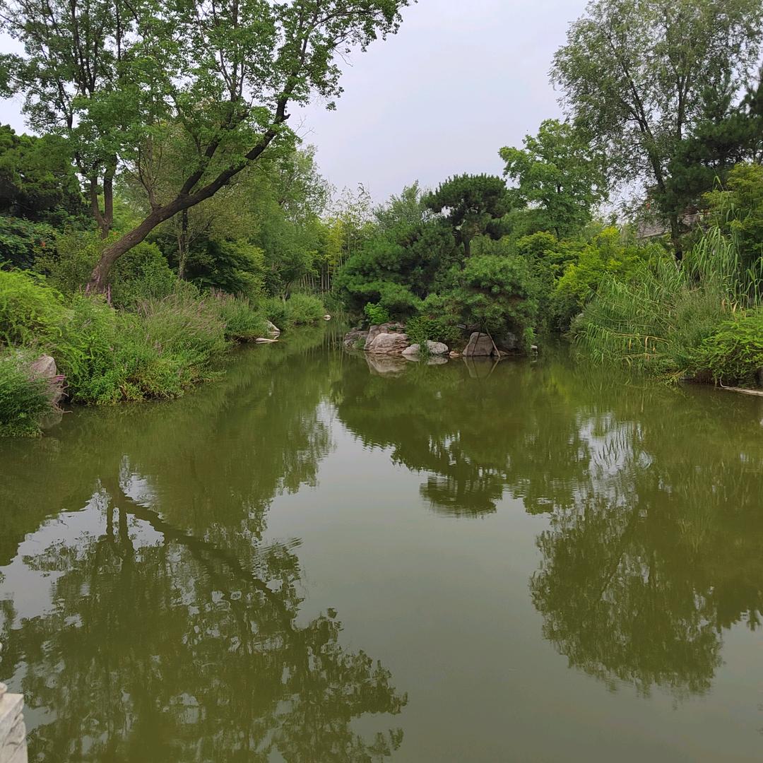 感恩