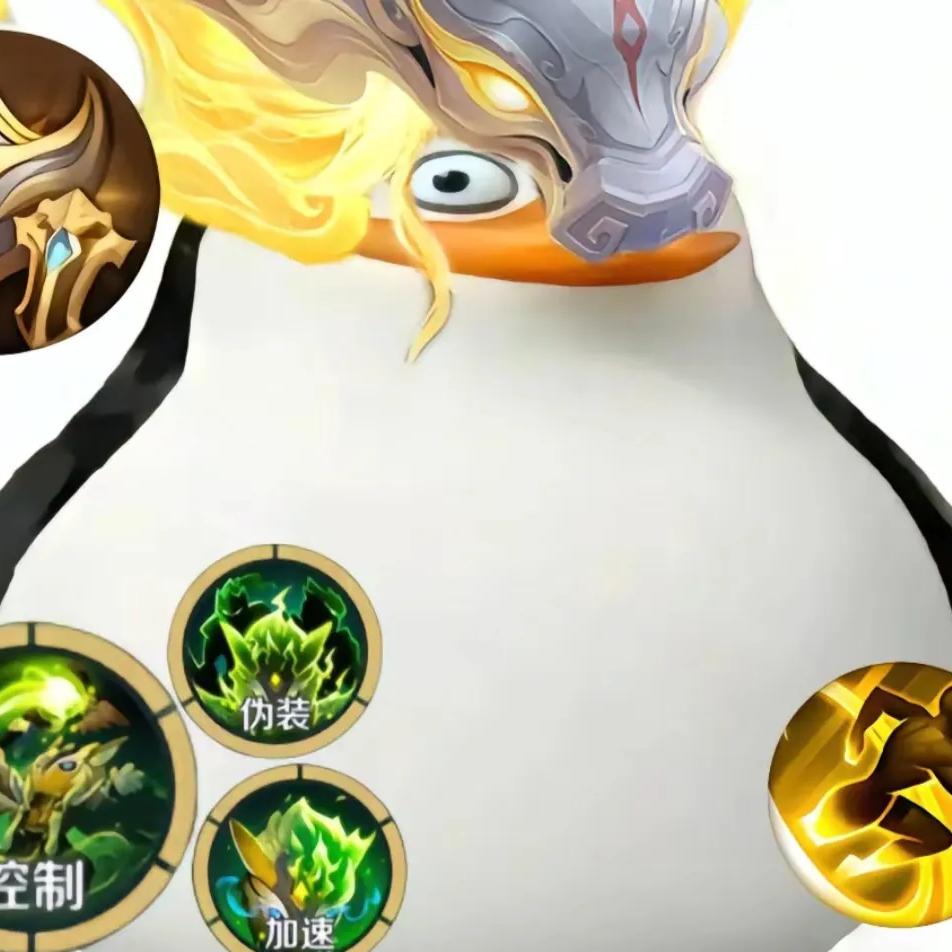 你不知道我是辅助吗