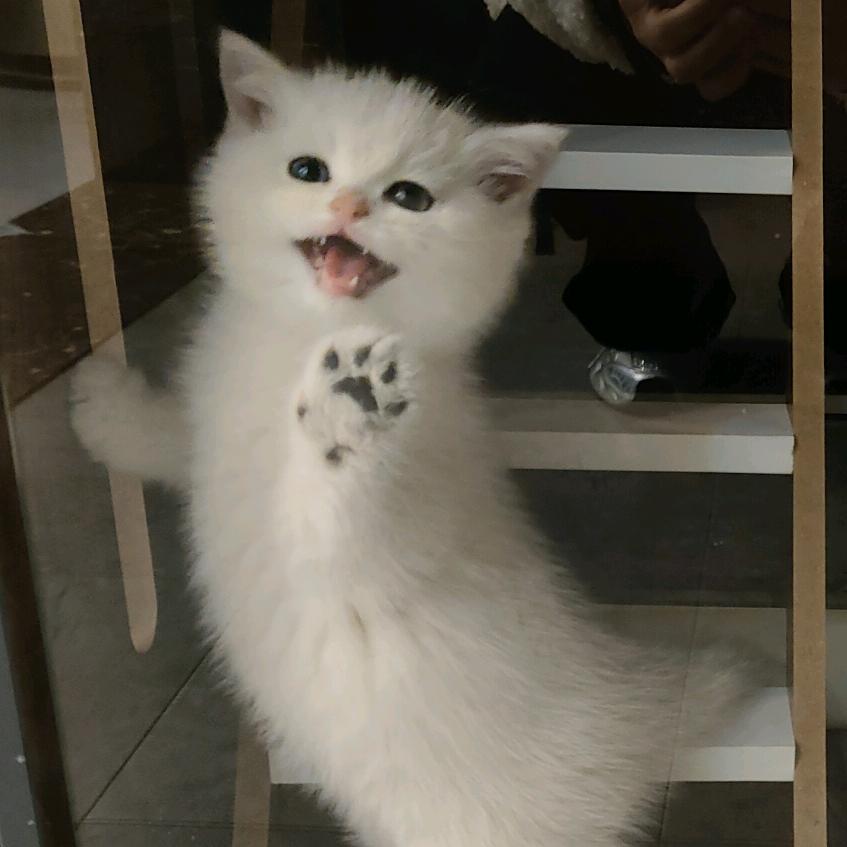 ~@&