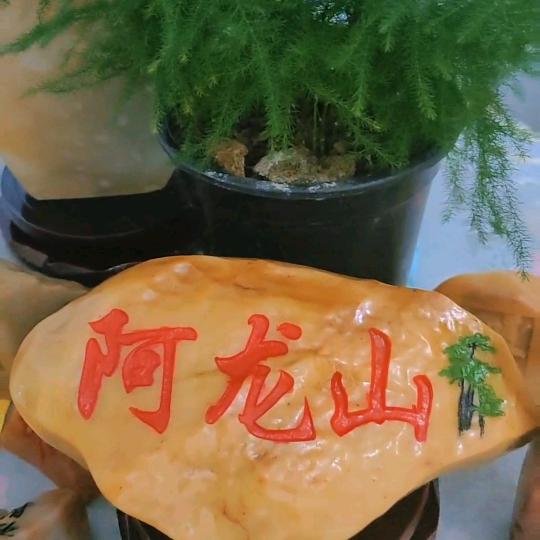 阿龙山，民宿家庭院
