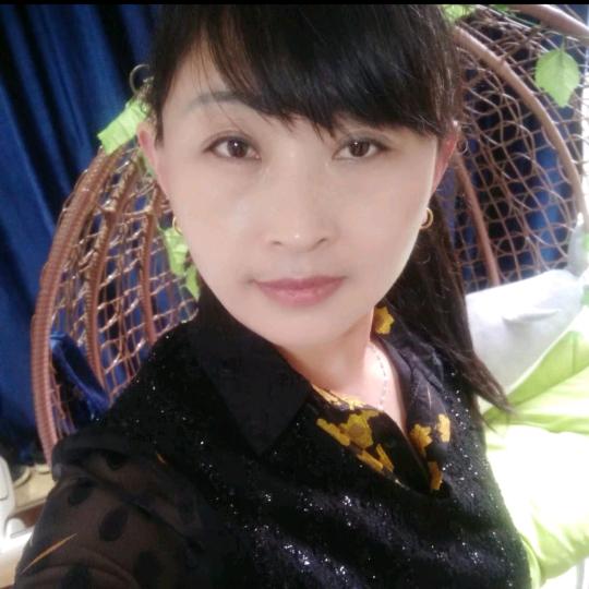菊24581871291