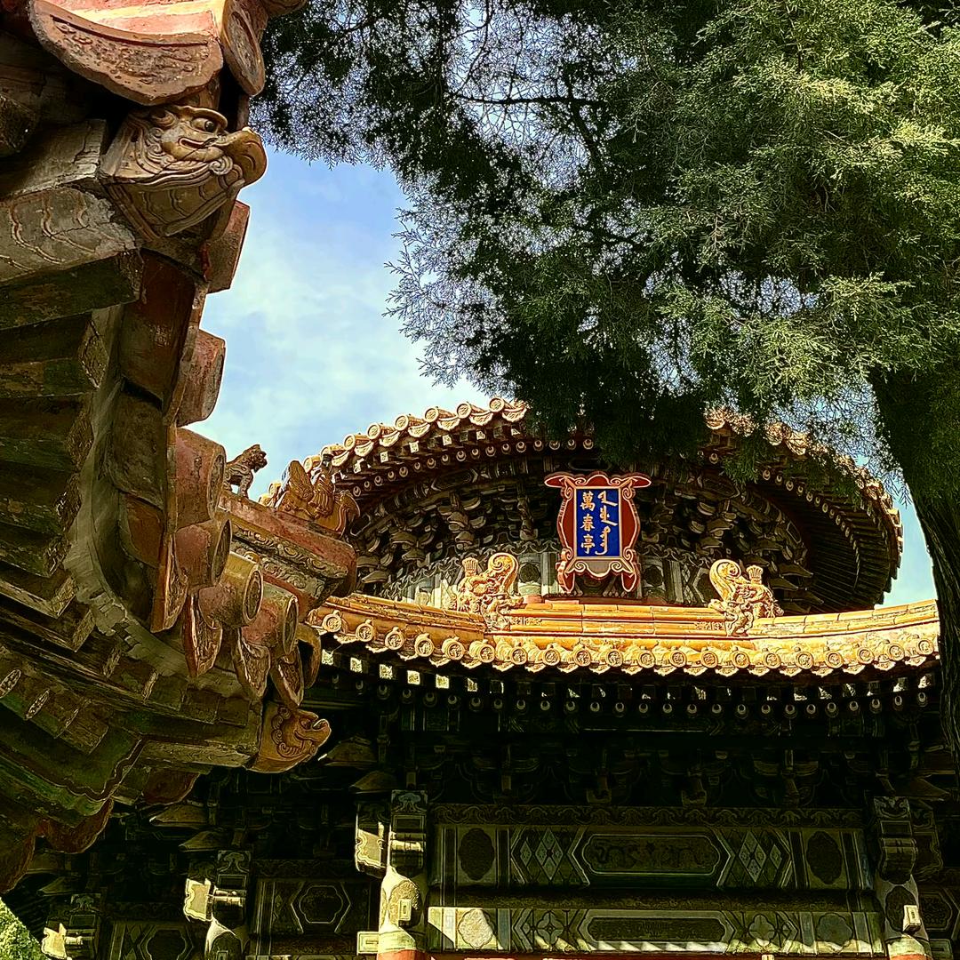 沉淀