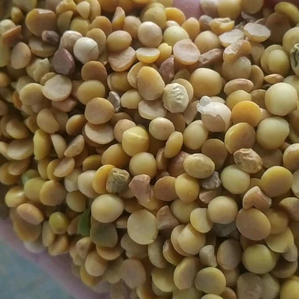 澳乐饲料