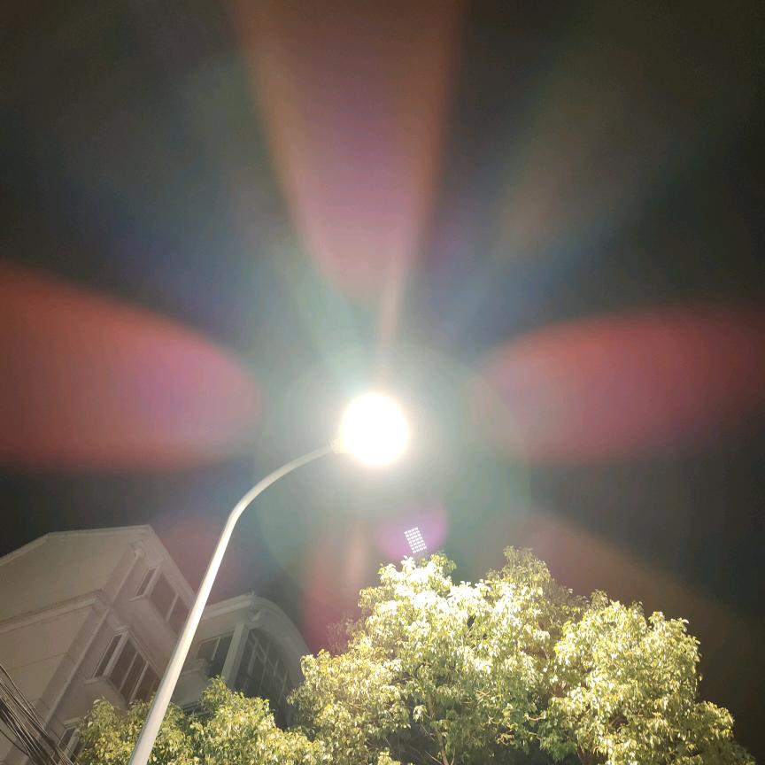 向阳而生88