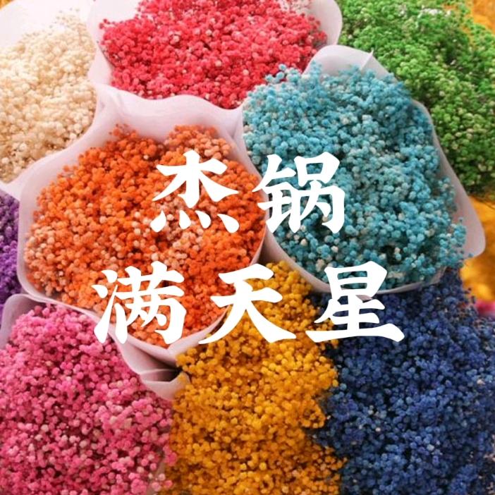 杰锅的满天星花卉工厂