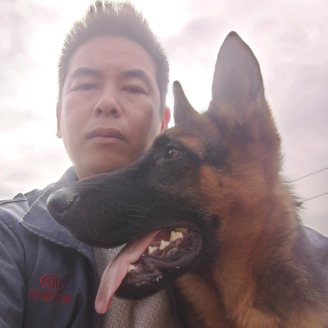 粤R 拉不完