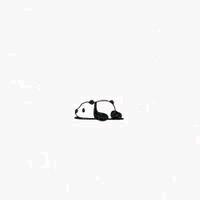 阿发🌧️
