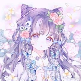 轩宝宝