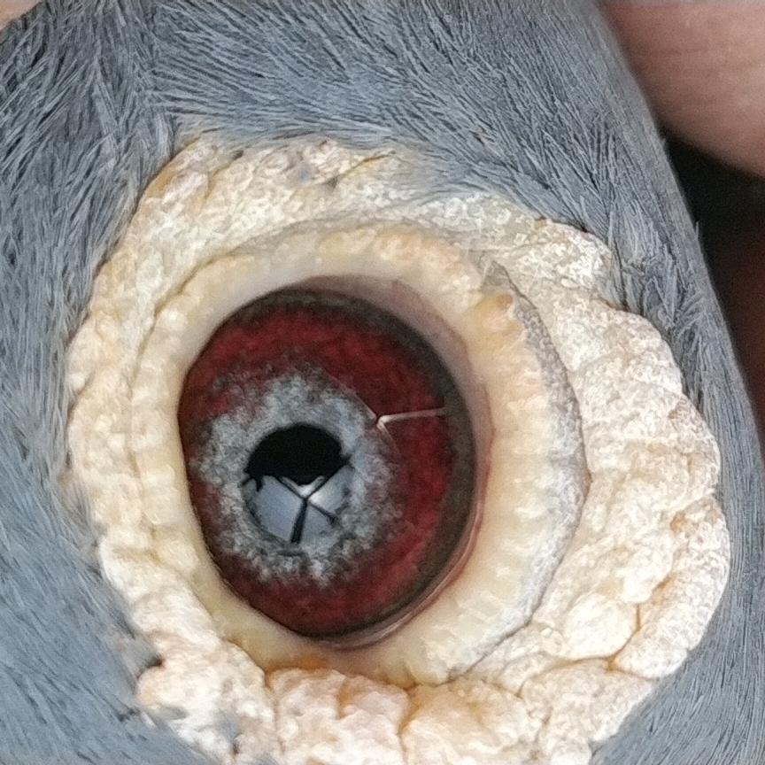顺其自然