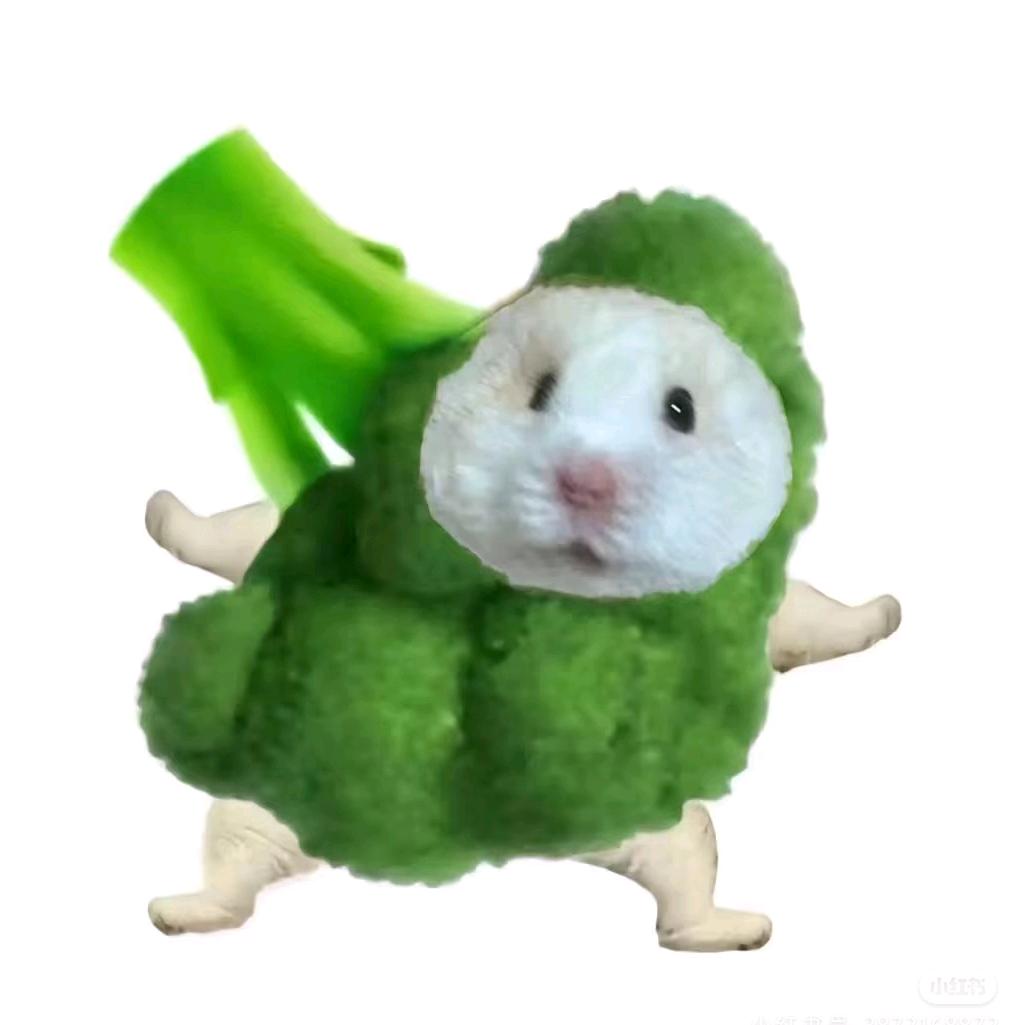 王美美专场