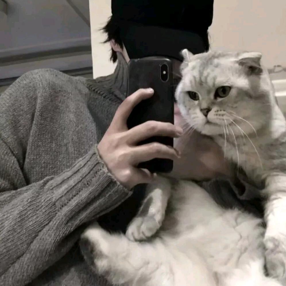 小任在努力变强✌