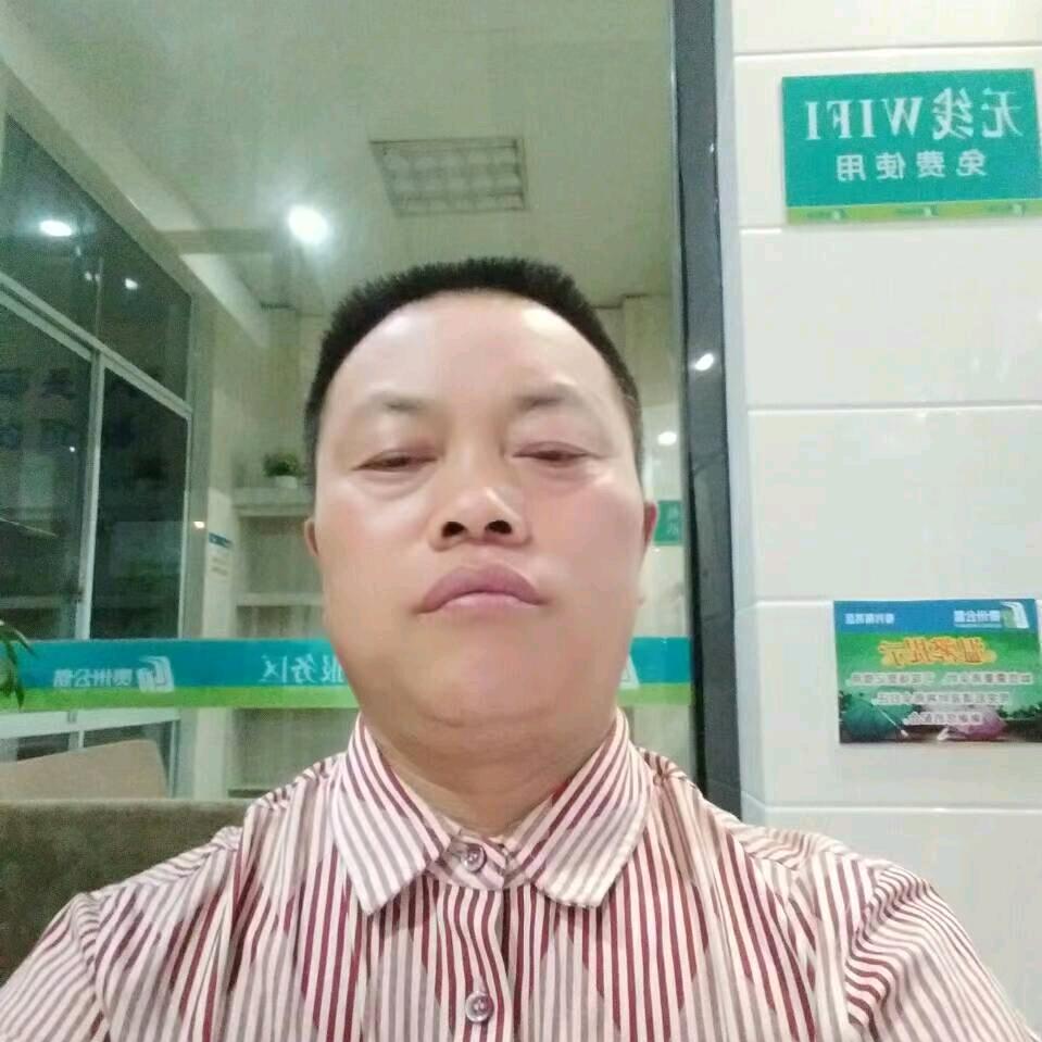 美好的冬天