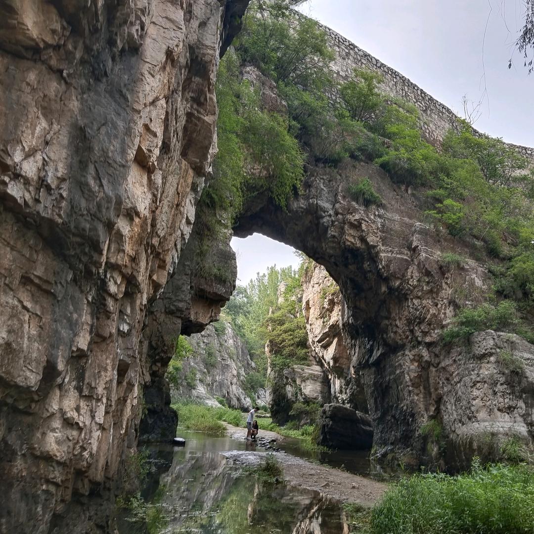 (◦˙▽˙◦)宋家菇凉❤️