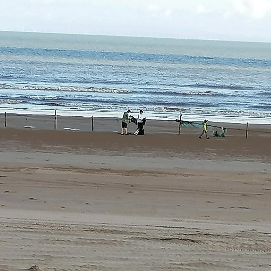 🐅🐅🐅🐅🐅🐅🐅🐅🐅虎