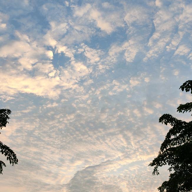 捌 月