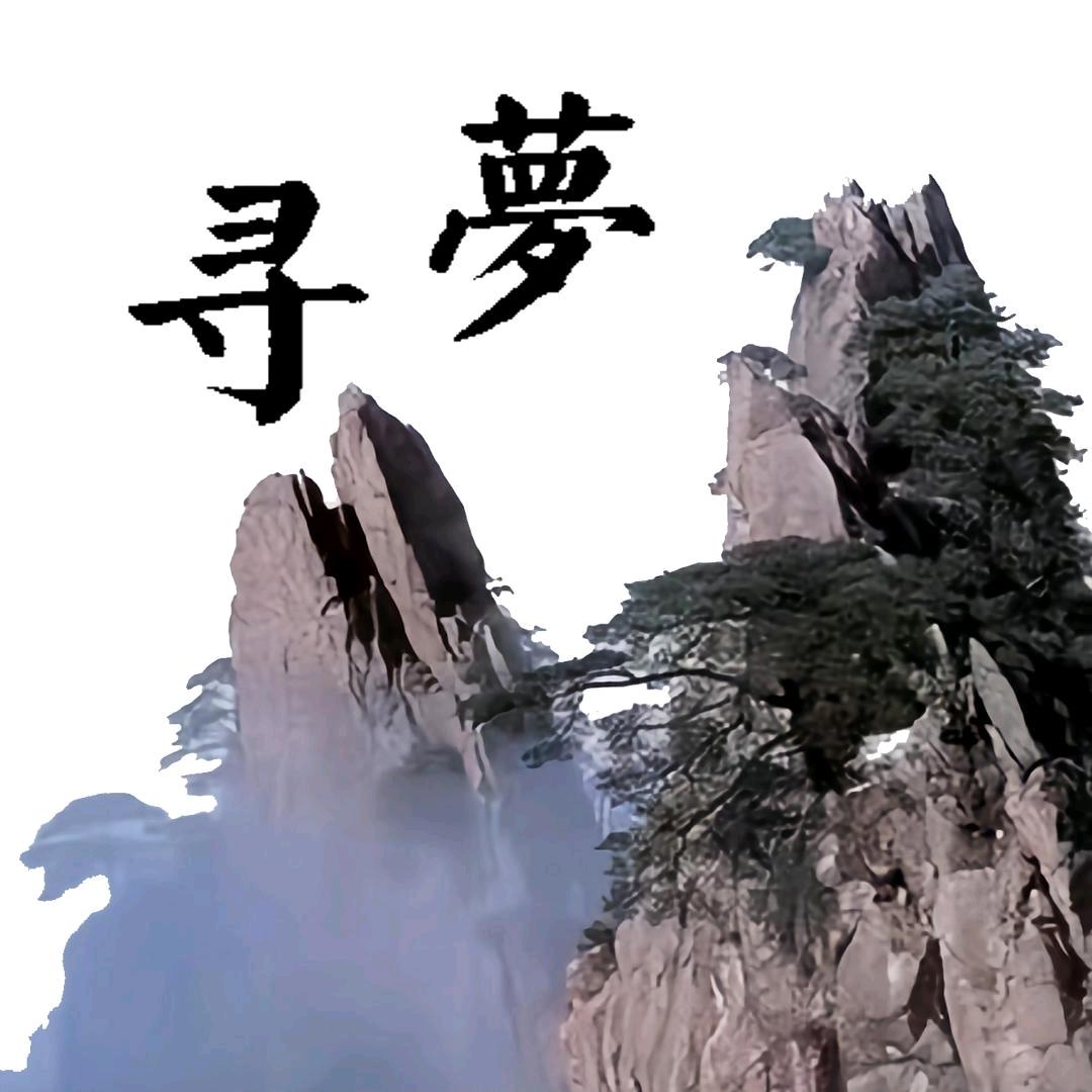 寻梦