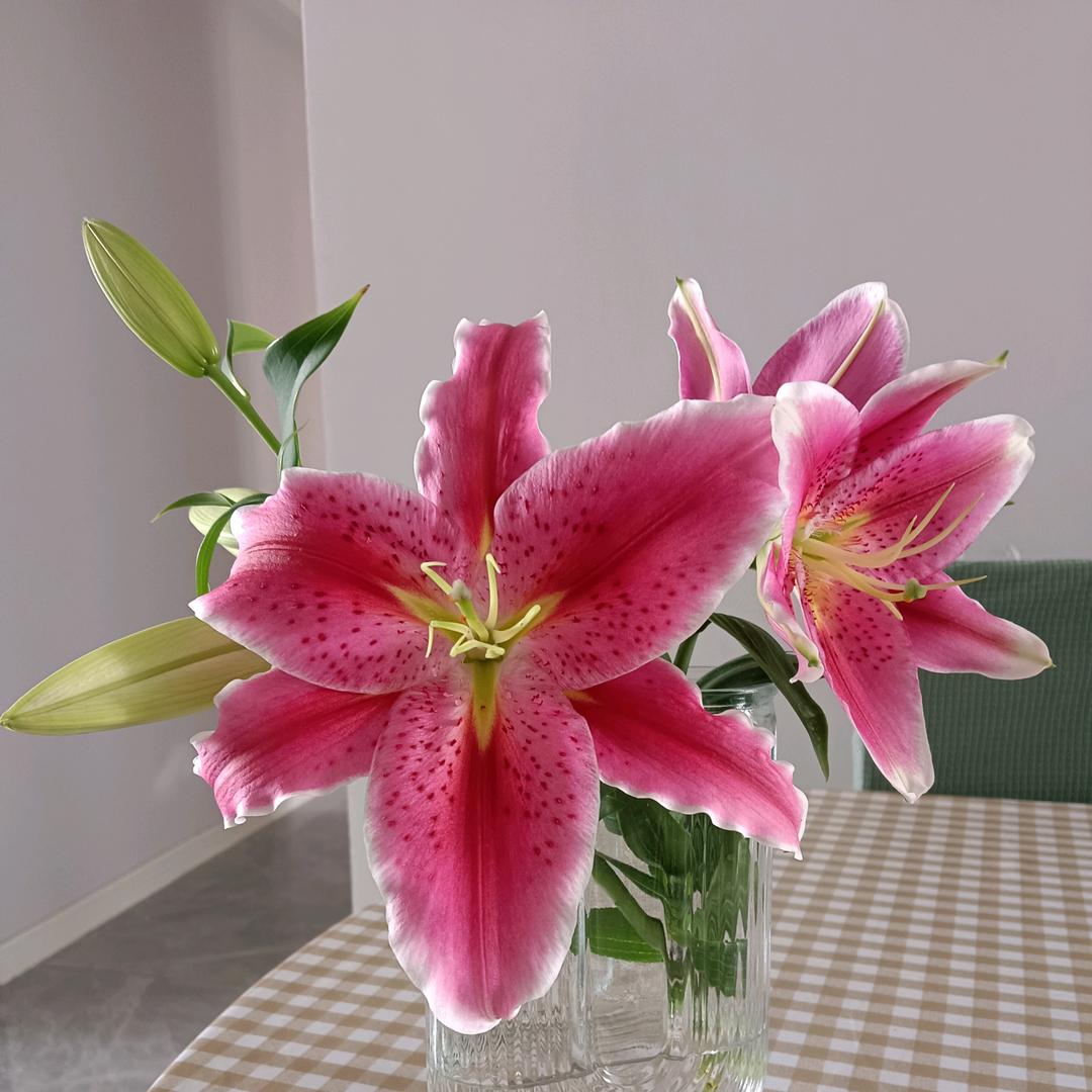 @于小鱼