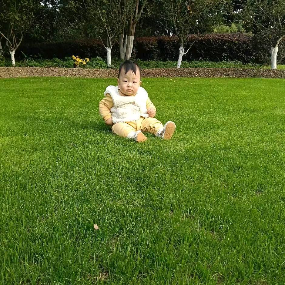 江苏云天物流有限公司