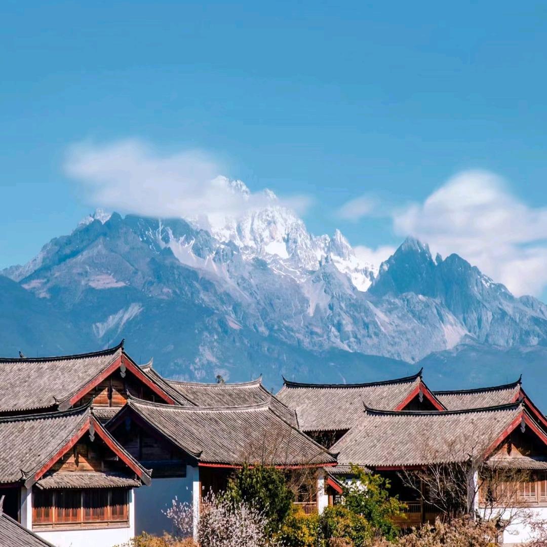 郑在
