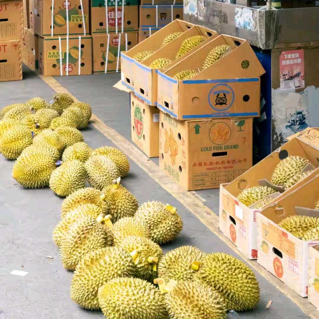 蒙泰原生鲜商贸