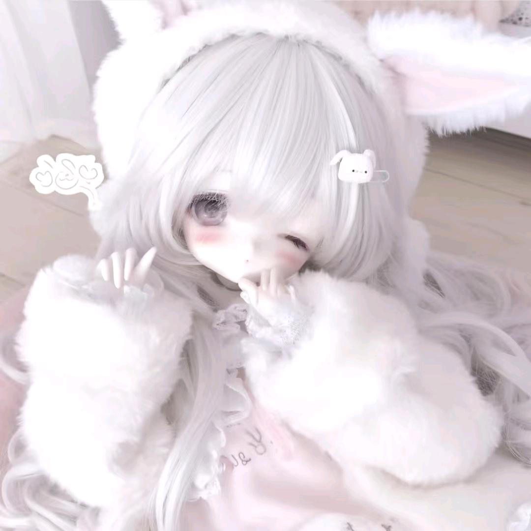 🐰兔兔