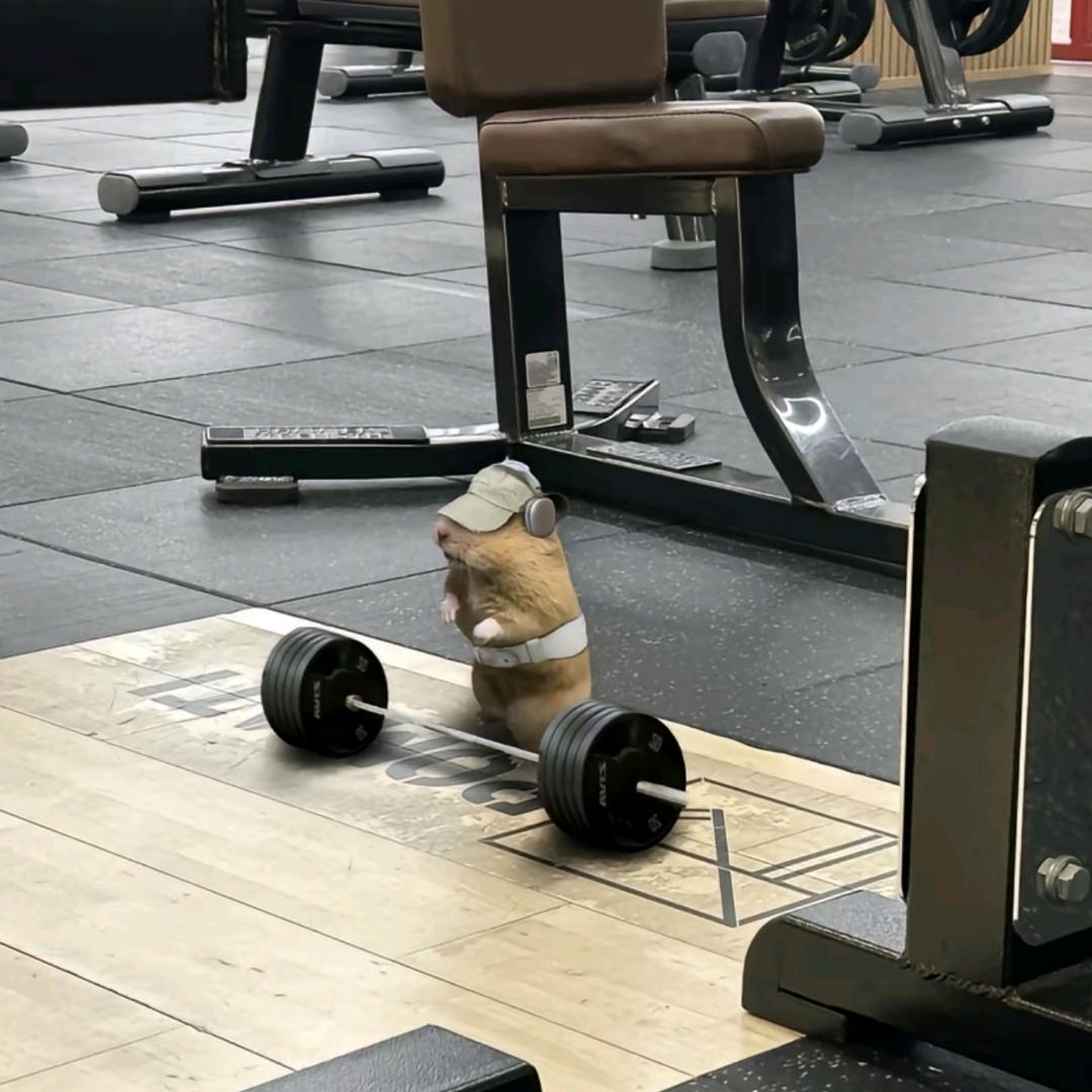 直立人（增肌版）