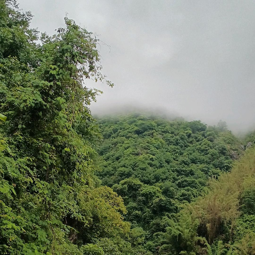 来与不来
