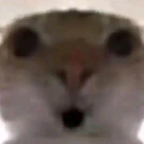 会出心的（三角洲行动）