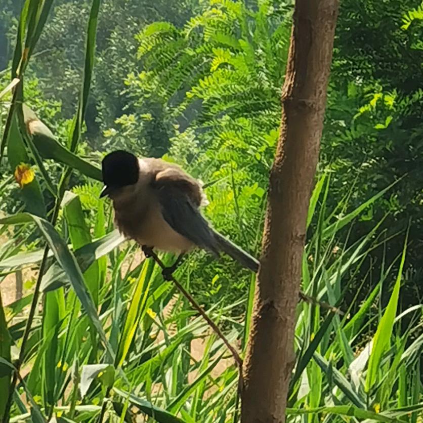 难得糊涂一生