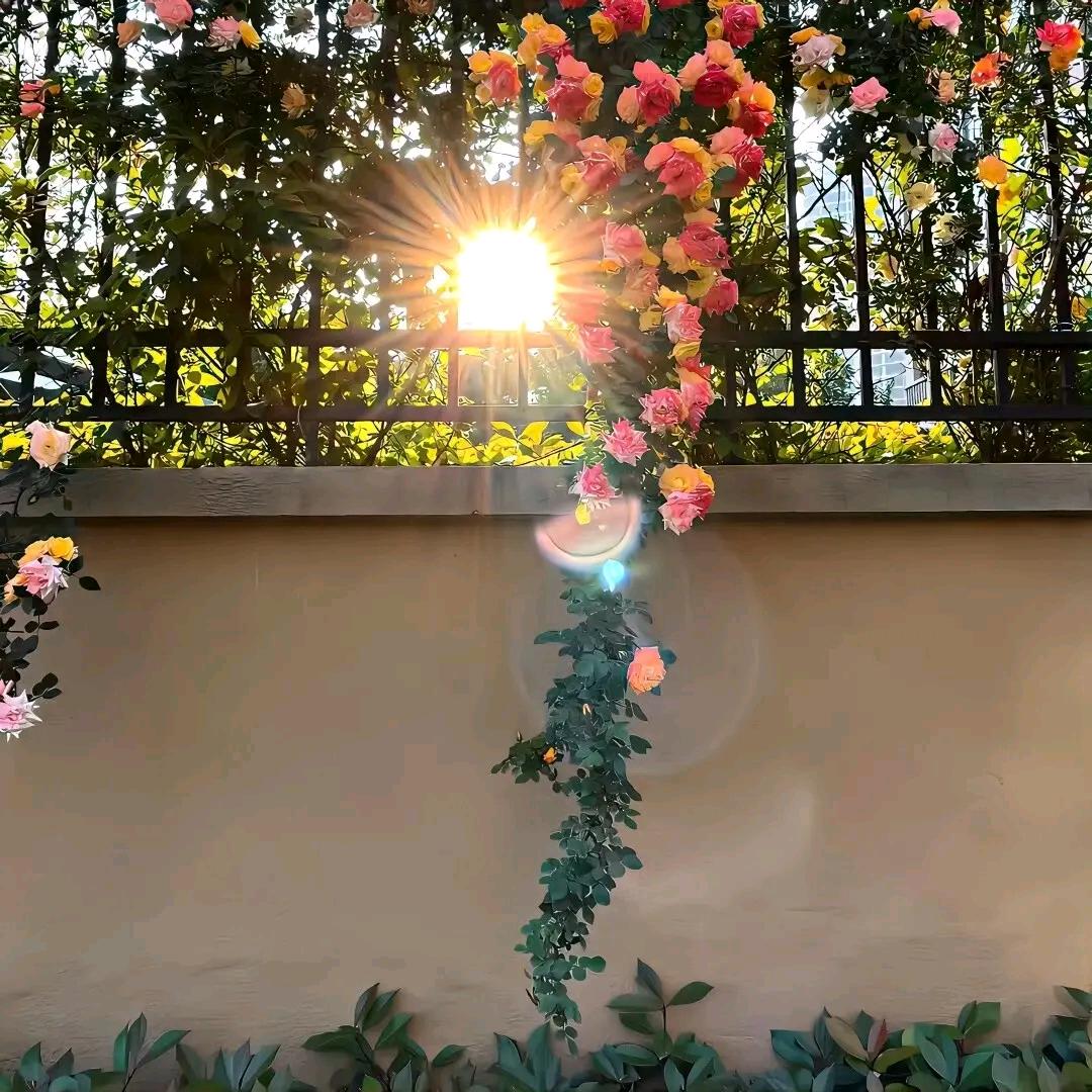 声声🎶不息🎤