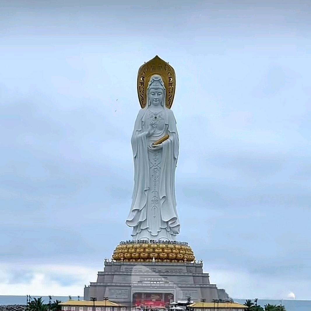 Dino🇨🇳