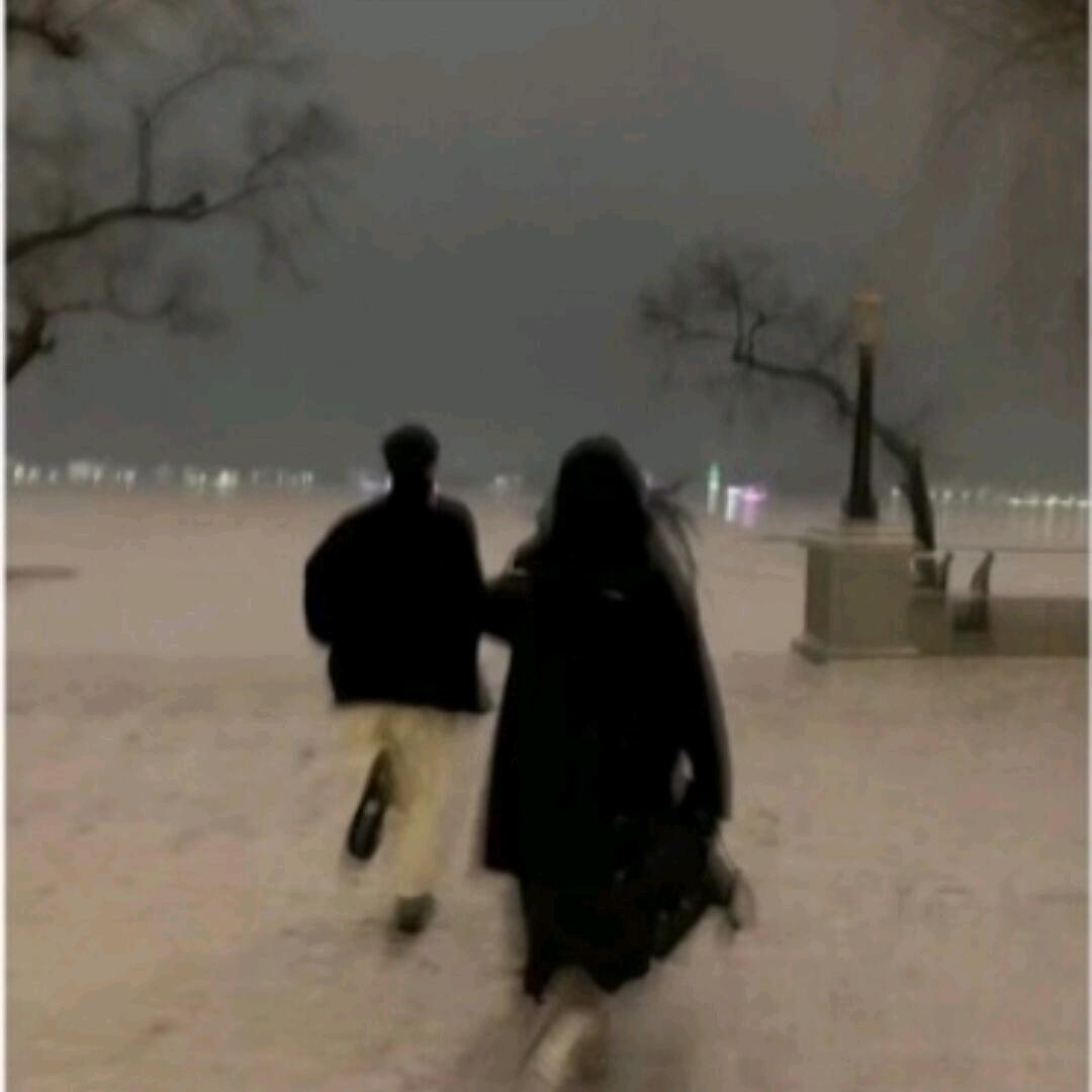 花海陪你看海