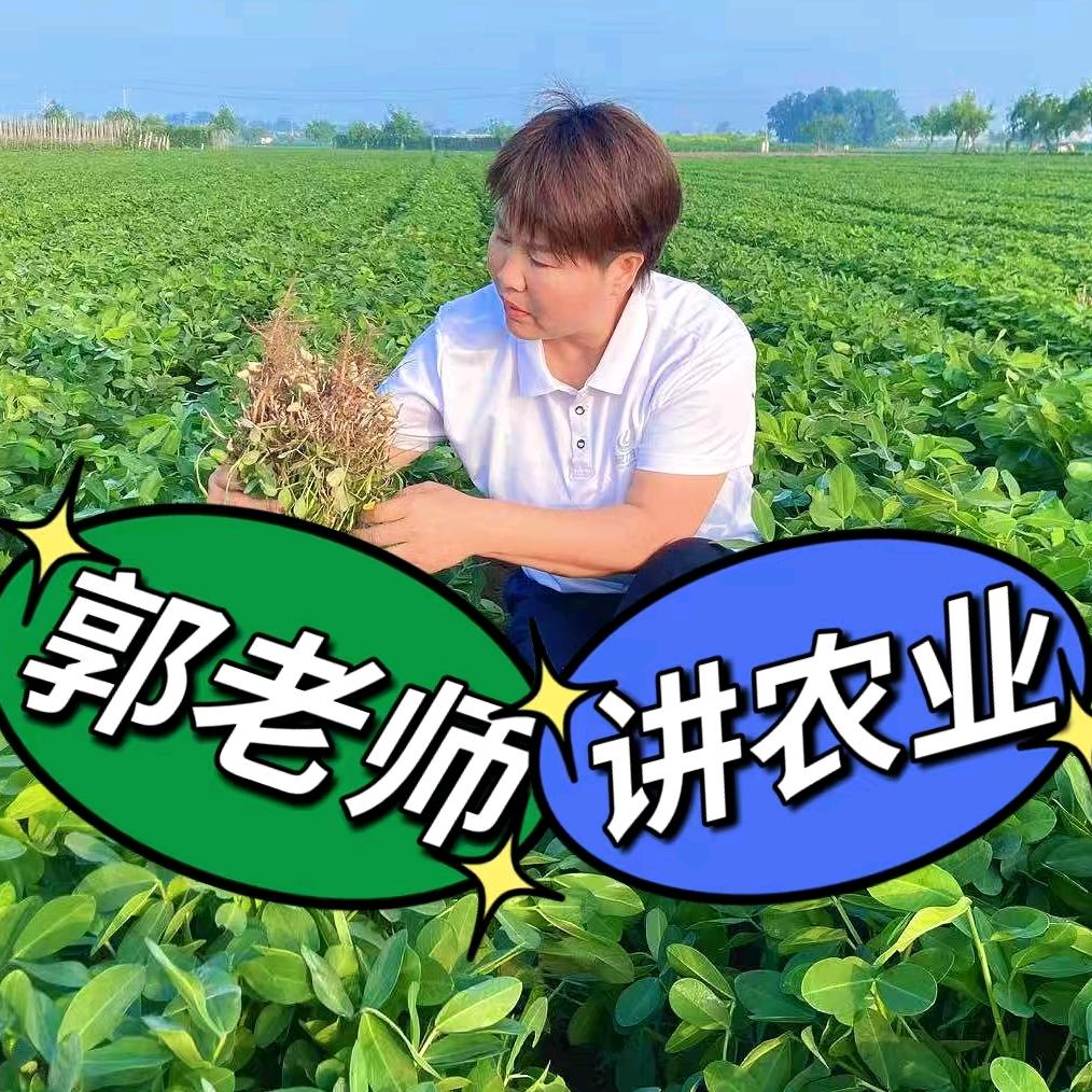 郭老师讲花生2（善堂巧娣农资）