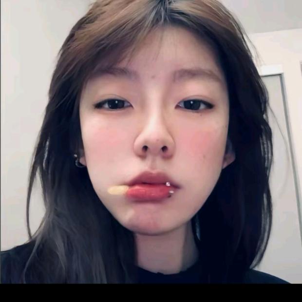 孤独的小鸡