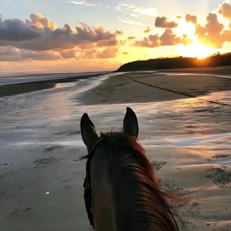 喷喷香      ༽