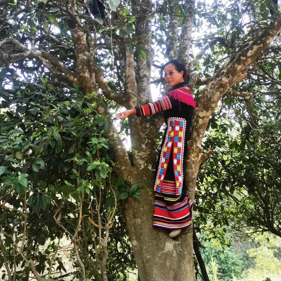 左手蜂蜜右手茶